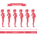 Pregnancy Care: What…